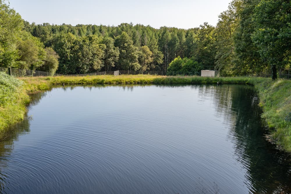 Au sud de la Haute-Vienne, trois stations de traitement des eaux ont été installées par Orano sur le périmètre d’anciennes concessions minières.