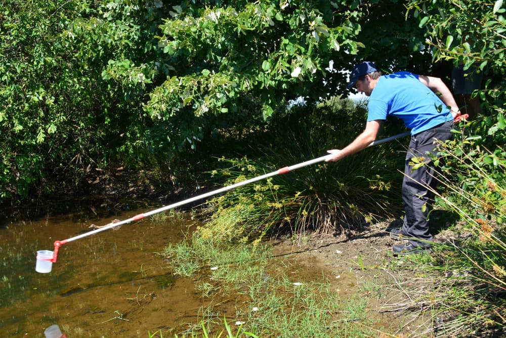 Un technicien du laboratoire d'analyse et de recherche de la Dordogne prélève de l'eau dans un étang au sud de la Haute-Vienne.