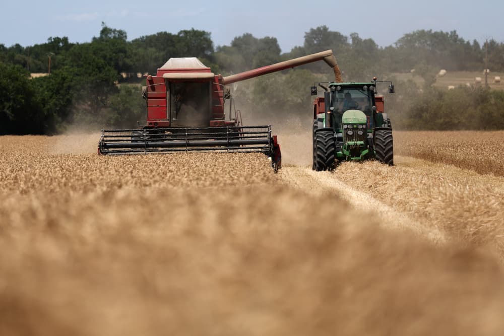 Un agriculteur français moissonne son blé dans son champ, à Ligne, près de Nantes, en France, le 30 juin 2026.