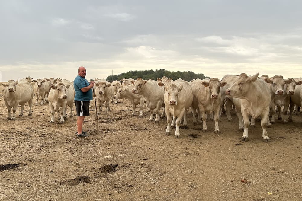 L'exploitation agricole de Cédric Mandin à Sainte-Cécile.