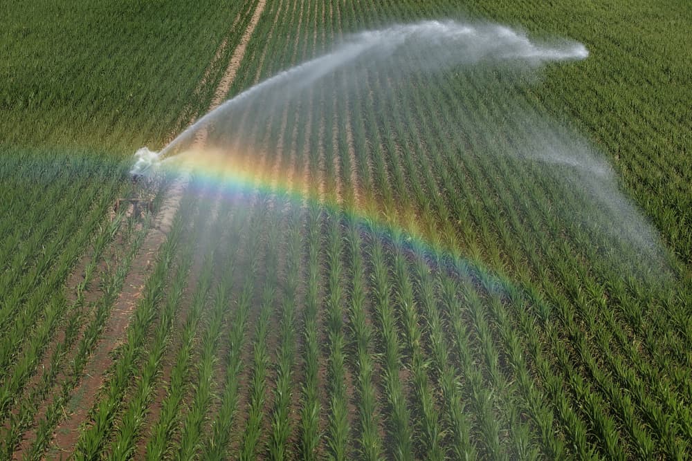Une vue prise par drone montre un arroseur d'irrigation pulvérisant de l'eau sur un champ de maïs à Saint-Philbert-de-Bouaine (Vendée).
