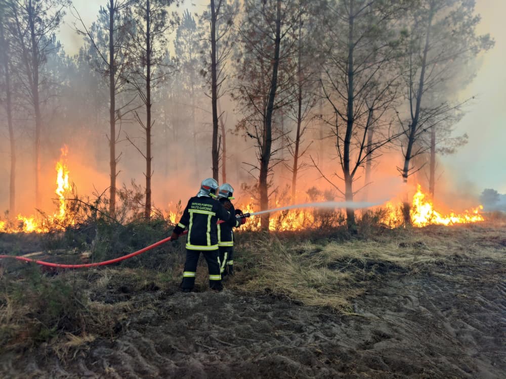 Des sapeurs-pompiers de Haute-Garonne luttent contre le feu à Saint-Jean-d’Illac, Le Las, dimanche 26 juillet 2026.