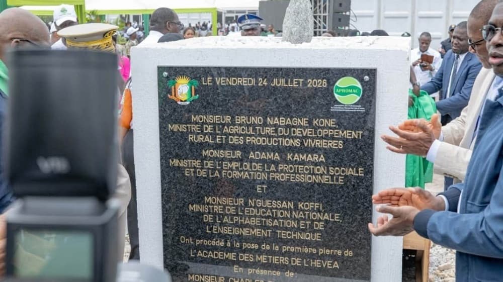 D’ici 2036, la Côte d'Ivoire veut mettre en production 500 000 ha supplémentaires d’hévéa pour booster une offre en-deçà de l’objectif de 2 millions t.