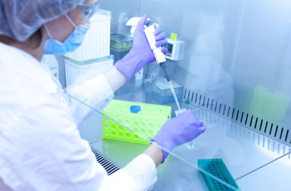 Virus Ebola : la biotech lyonnaise Fabentech sur la piste d'un traitement