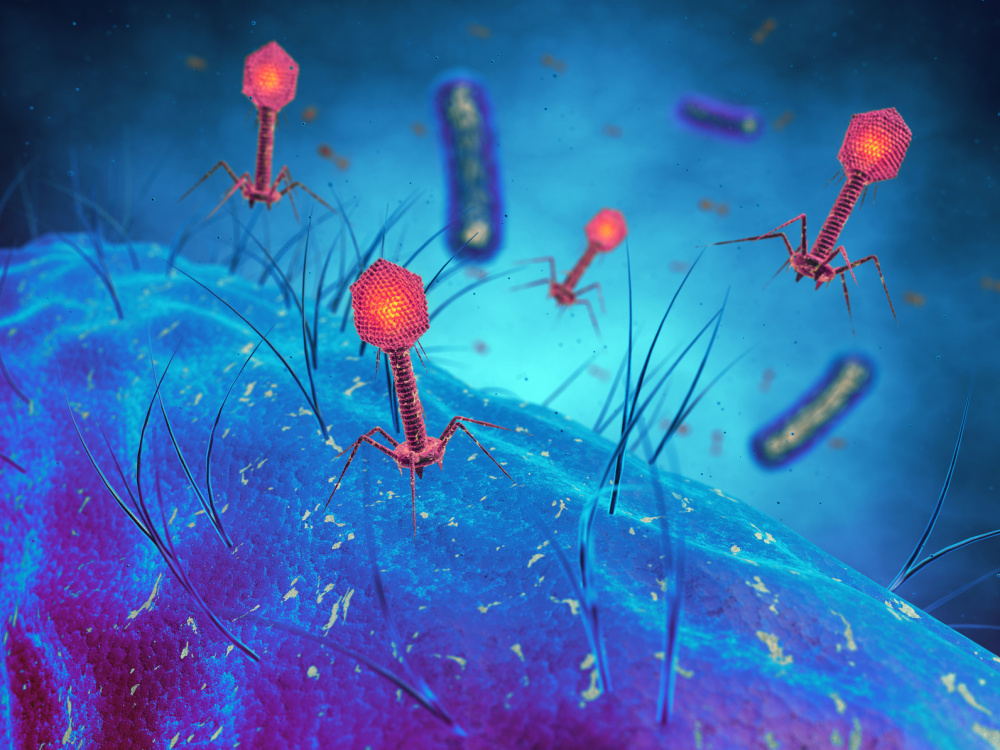 Résistance aux antibiotiques : le CHU de Lyon en première ligne de la révolution des phages