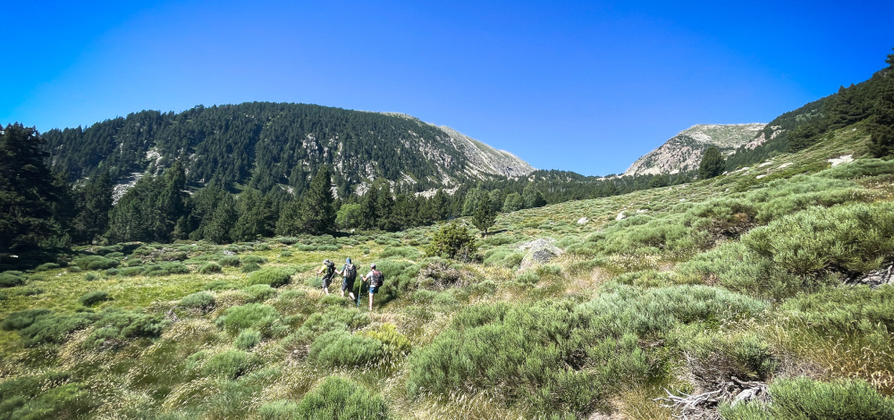 Dans les Pyrénées catalanes, on comptabilise les randonneurs pour mieux protéger les espaces naturels