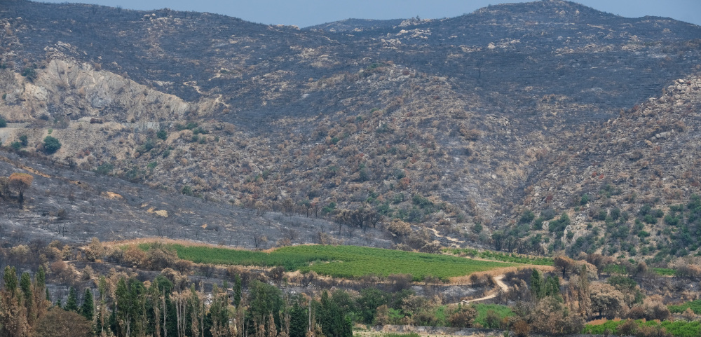 Incendies : un enjeu crucial d'aménagement du territoire