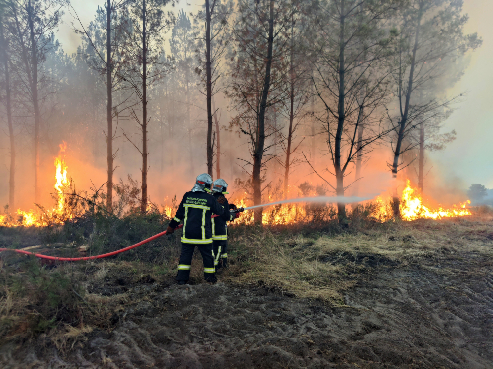 En Gironde, des villes fantômes, des pins brûlés et des pompiers à perte de vue