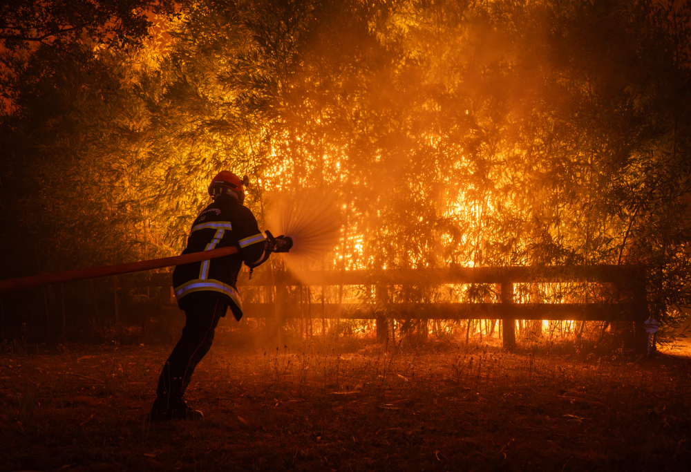 Du « grand incendie » de 1949 aux mégafeux de 2026 : l'histoire des feux révèle le dérèglement du climat français